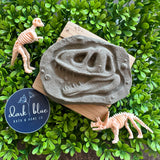 Dino Fossil Bath Bomb w/ Hidden Dino Toy