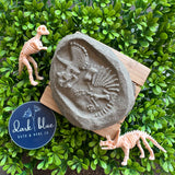 Dino Fossil Bath Bomb w/ Hidden Dino Toy