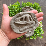 Dino Fossil Bath Bomb w/ Hidden Dino Toy