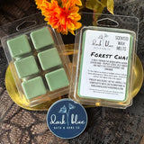 Fall 2025 Wax Melt Collection