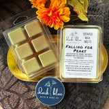 Fall 2025 Wax Melt Collection