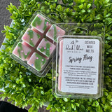 Spring 2025 Wax Melt Collection