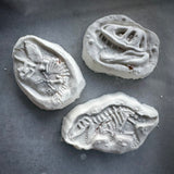 Dino Fossil Bath Bomb w/ Hidden Dino Toy