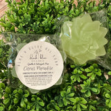 Aloe & Olive Soap Succulent Bars (Citrus Paradise)