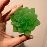 Aloe & Olive Soap Succulent Bars (Citrus Paradise)
