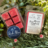 Winter 2025 Wax Melt Collection