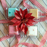 Pluggable Fragrance Warmer Set- Joy w/ Melts