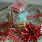 Pluggable Fragrance Warmer Set- Joy w/ Melts